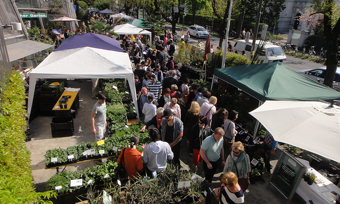 Der Pflanzen-Raritätenmarkt findet erstmalig auf zwei Standorten statt: im Stadtpark und im Botanischen Garten der Uni Graz. Foto: Uni Graz/Berg