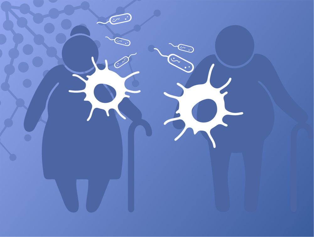 MetAGE_Research_Topic_Immune_System 