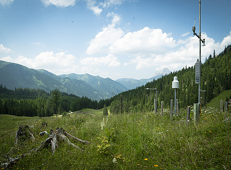 Eine Wetterstation in den Bergen Österreichs, die Windgeschwindigkeit und Lufttemperatur mit modernen Instrumenten inmitten grüner Wiesen erfasst. Die Landschaft ist üppig mit Fichtenbäumen unter blauem Himmel. ©Uni Graz/Vilgut