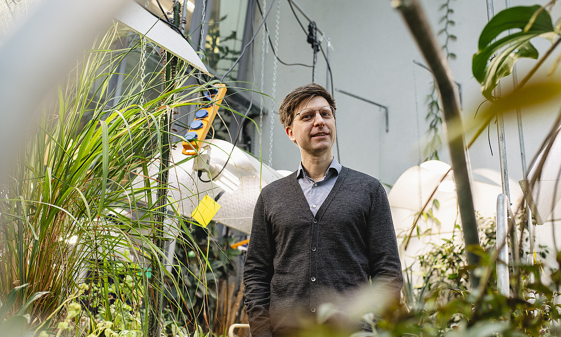A portrait of an adult male scientist standing in the center, surrounded by plants and white walls with large glass windows. He is wearing glasses and has short brown hair. The background features various plant life including grasses, leaves, flowers, vines, mushrooms, and small birds. 