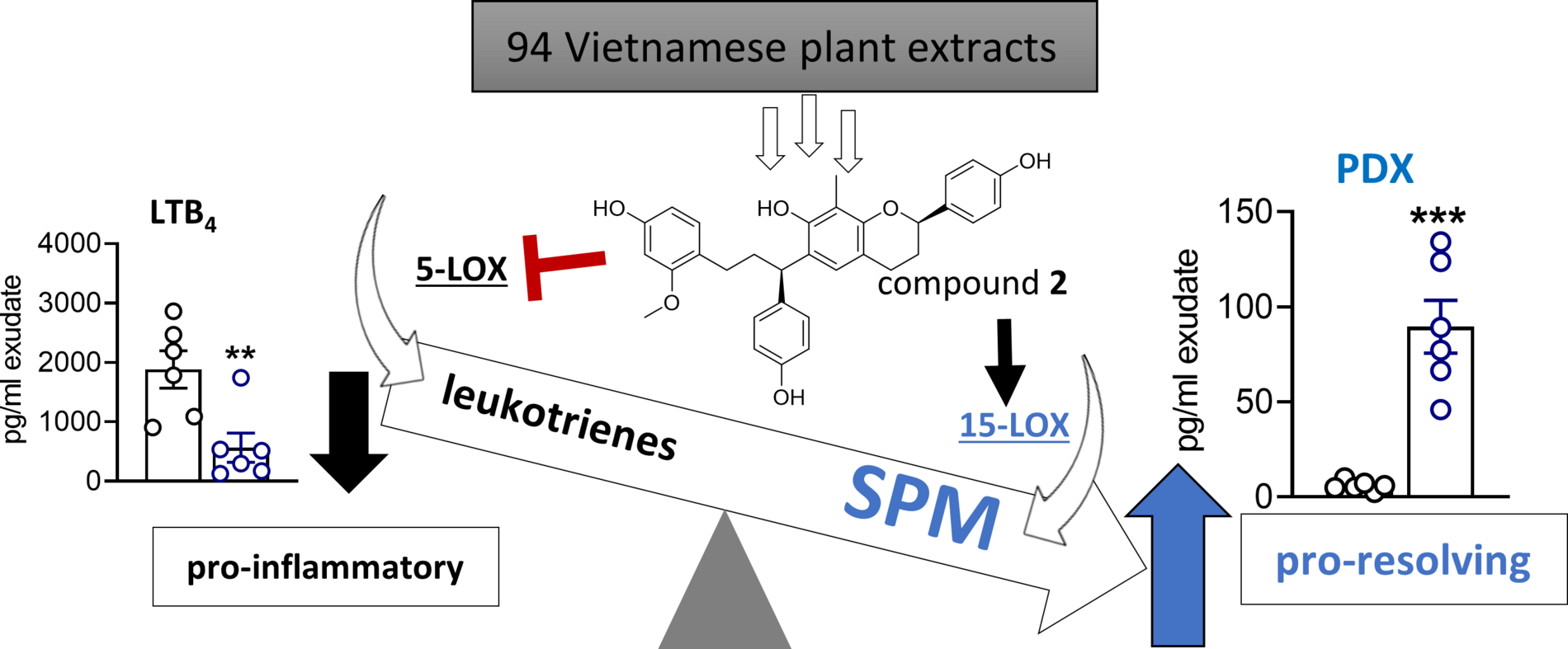 Vietnamese Plant extract ©Uni Graz / Köberle