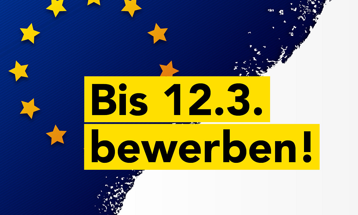 Europäische Flagge