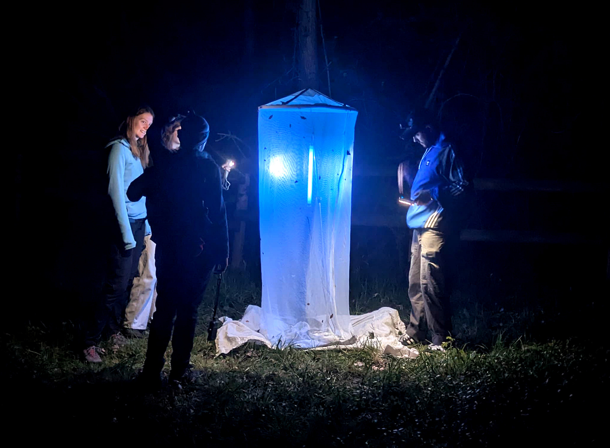 Netz mit UV Licht beleuchtet ©Tobias Gratzer