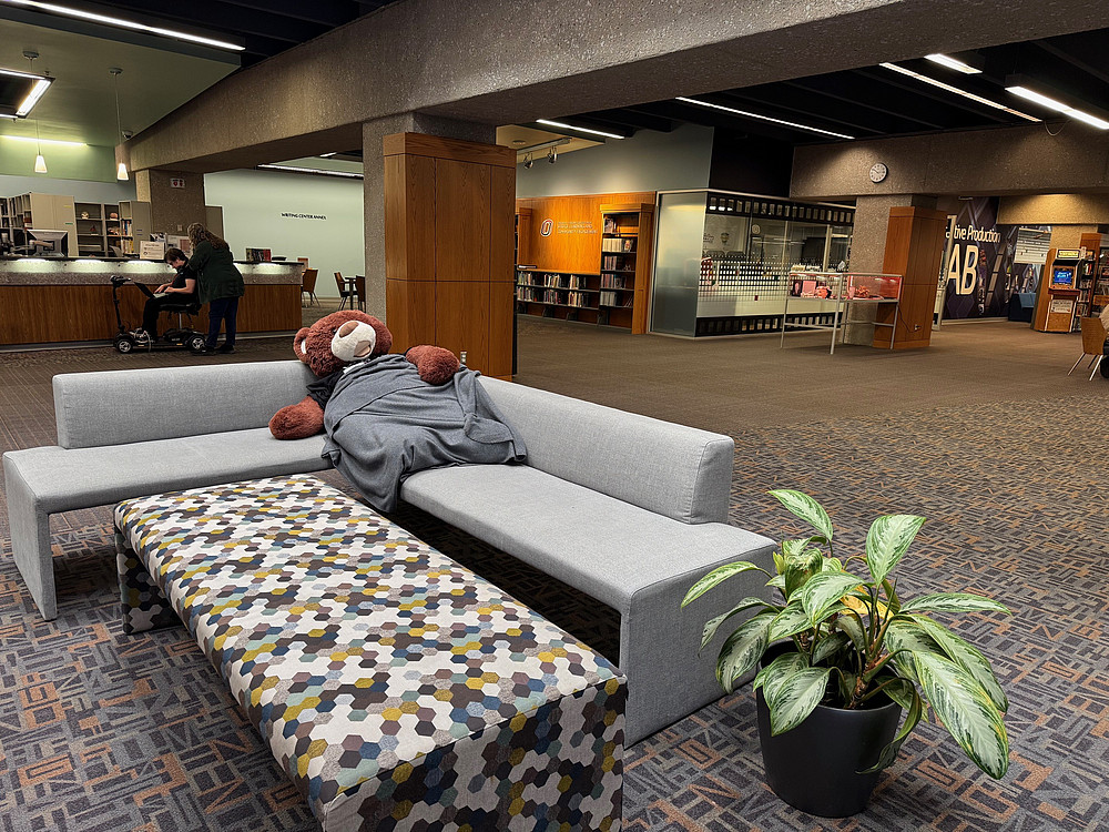 Teddybear schläft auf Sofa an der Uni Oklahoma ©BIB | Petra Rabitsch