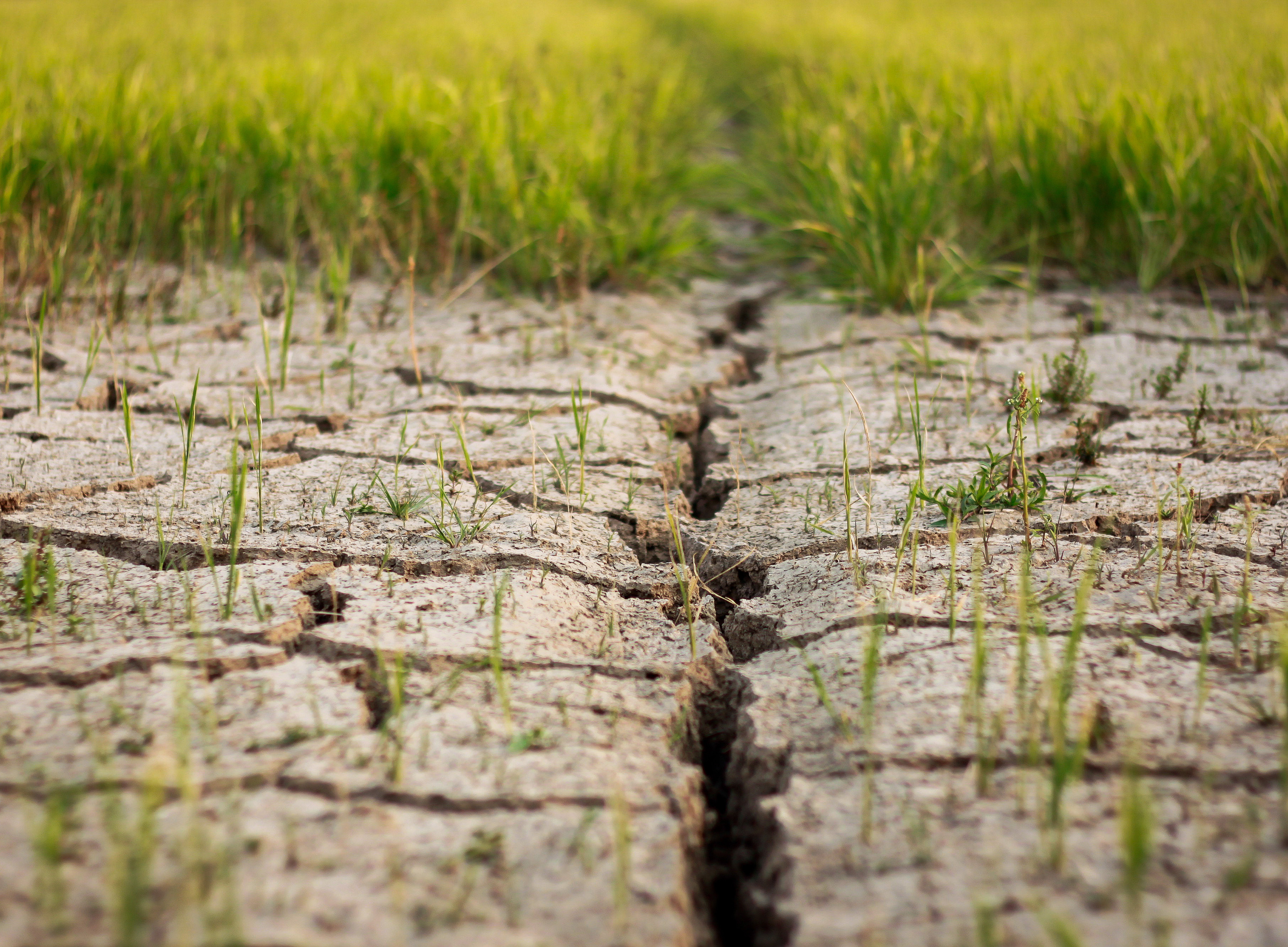 Trockener Boden vor Graz ©Adobe Stock, Apisit