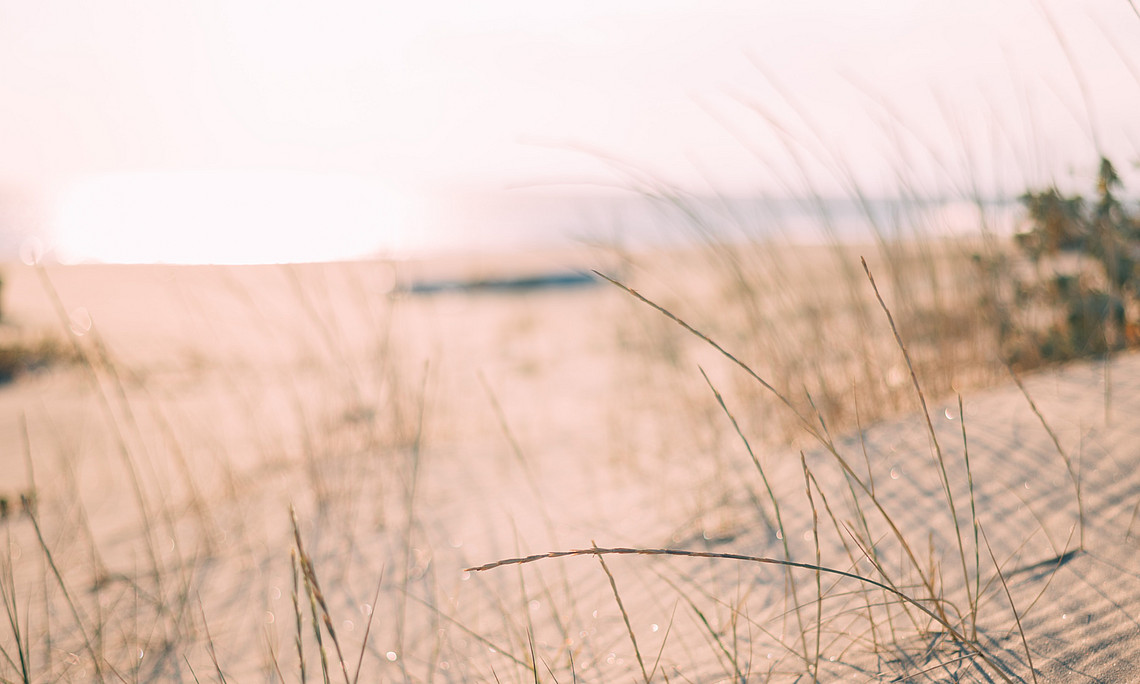 Dünen voll Sand, Sand im Getriebe, Lean Management