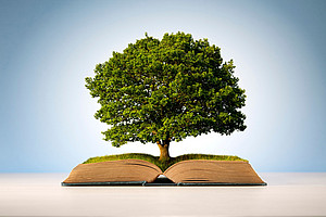 Baum der aus einem Buch wächst ©Brian Jackson/stock.adobe.com