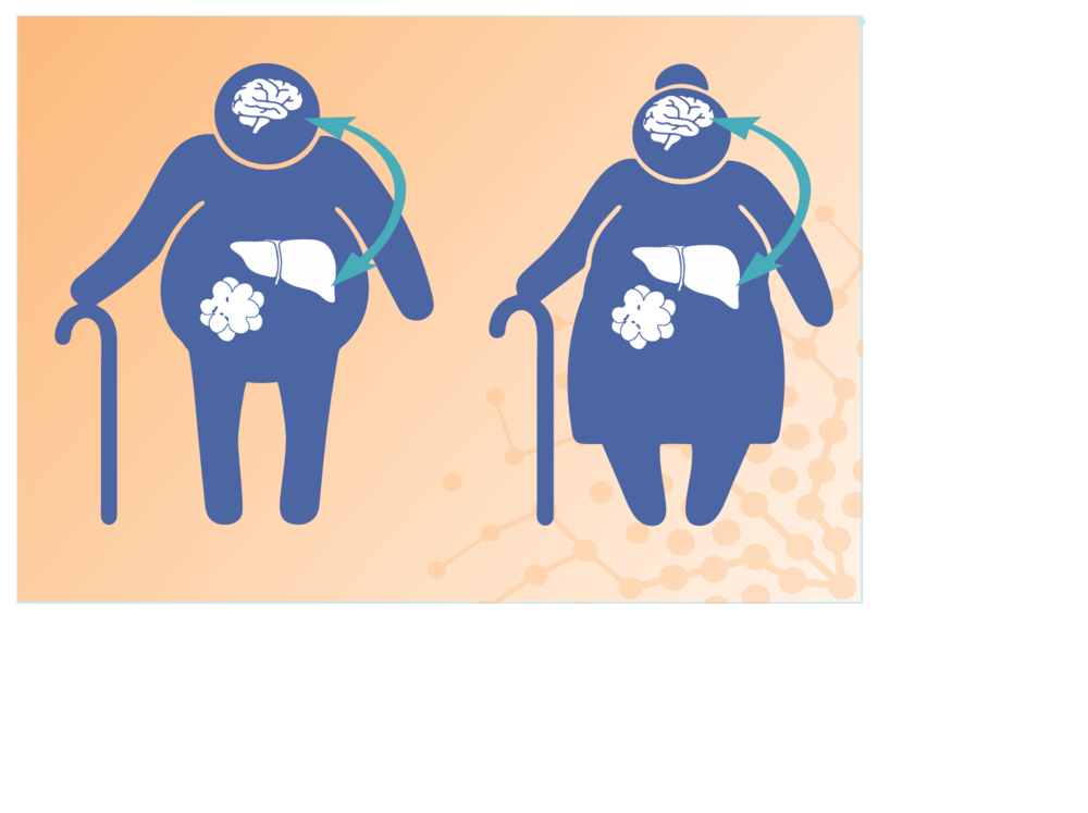 MeAGE-research-brain-organ-crosstalk 