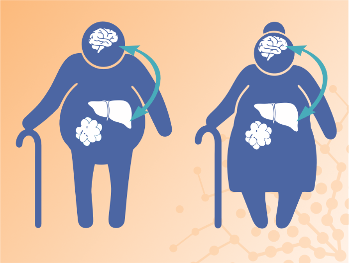 MetAGE_Research_Topic_Brain_Organ_Crosstalk 