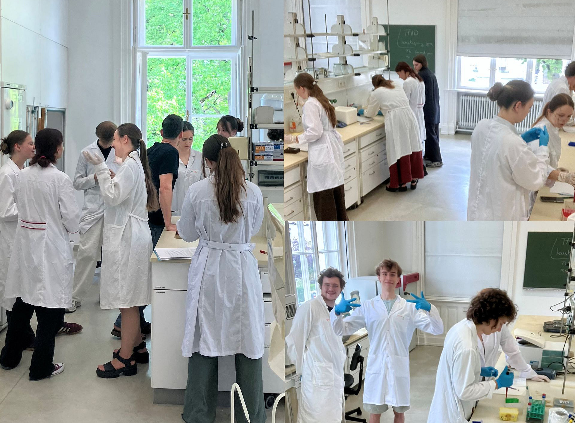 lab photo 