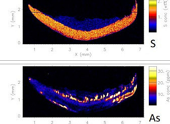 the picture shows the XRF mapping of a toenail for sulphur and arsenic and a figure of a toenail indicating the ventral and dorsal side of the nail. 