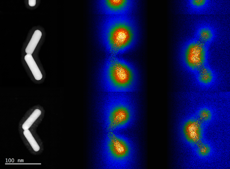 Elektronenmikroskopische Bilder von Nanostäbchen-Paaren, die mittlere und rechte Reihe zeigt die mittels Elektronenspektroskopie abgebildeten Plasmonenmoden. Bild: McMaster Univ./M. Bugnet ©Uni Graz/Krenn