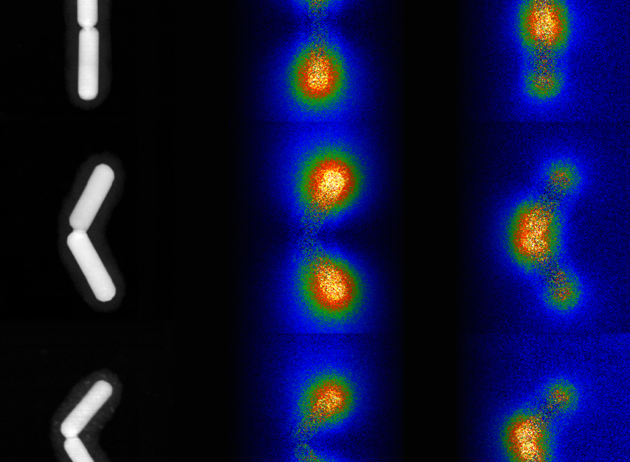 Electron microscopy images of nanorod pairs, the middle and right hand rows depict the plasmon modes as visualized by electron spectroscopy (McMaster Univ. / M. Bugnet) ©Uni Graz/Krenn