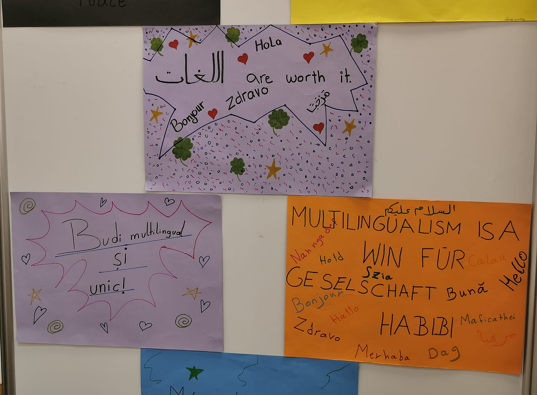 Ausstellungsstücke 