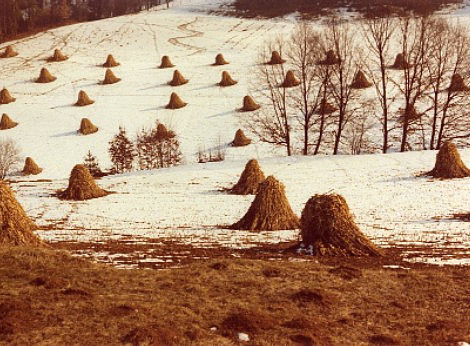 Landschaft Feld, 1979 