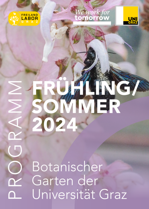 Alles zum Programm des Gartens Botanischer Garten