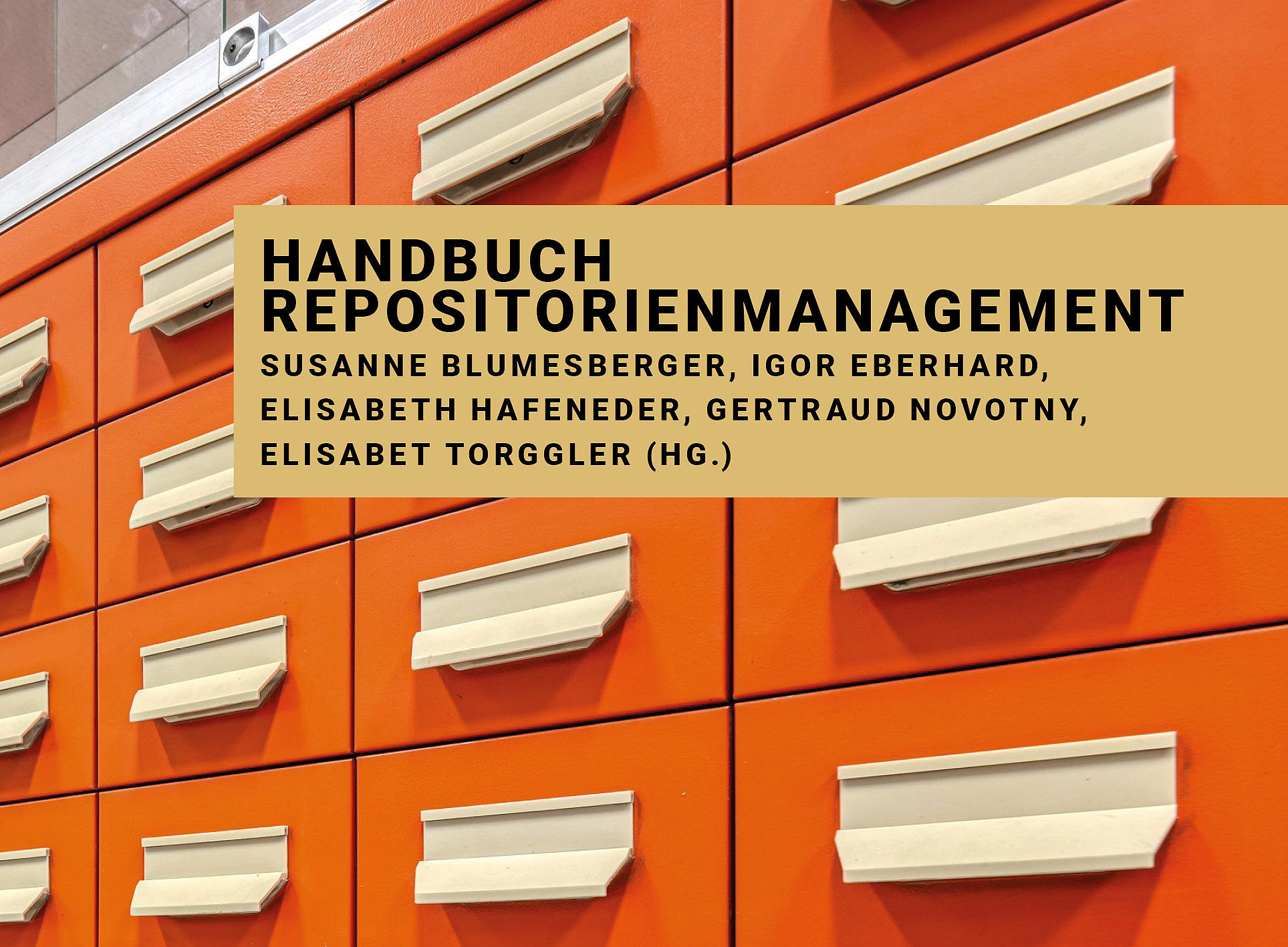 Repositorienmanagement von A–Z: Das Handbuch für Einsteiger:innen und Profis 