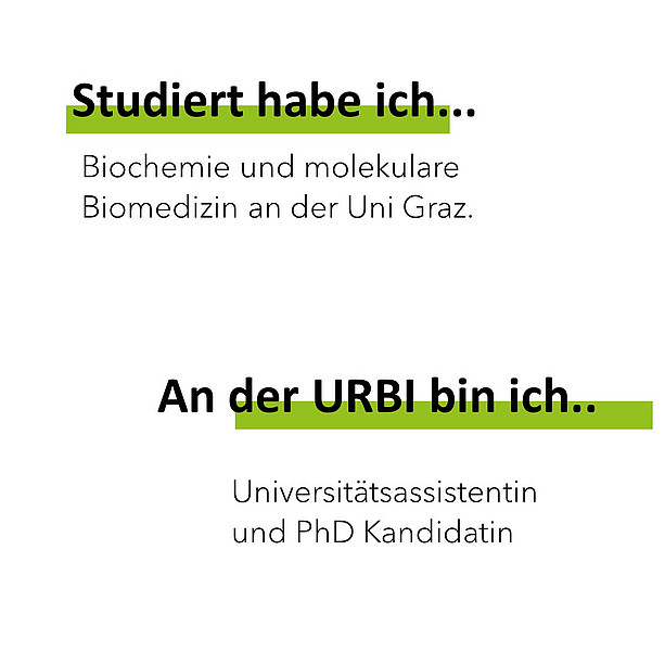 Studiert habe ich Biochemie und molekulare Biomedizin an der Uni Graz. An der Urbi bin ich Universitätsassistentin und PhD Kandidatin. 