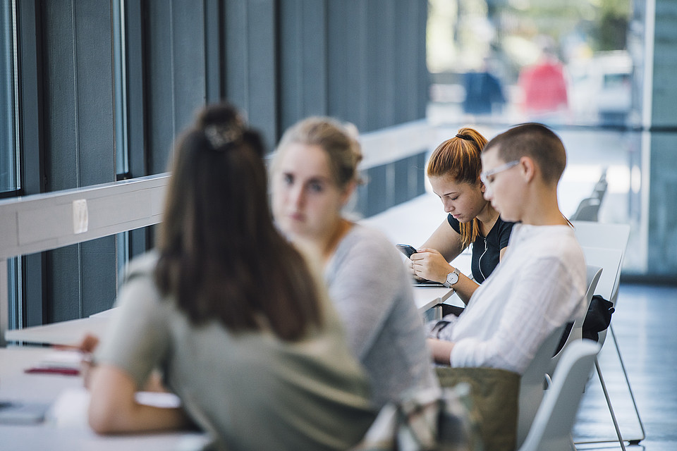 Mehrere Studierende sitzen in einer Lernzone an einen langen Tisch an einer Fensterfront und unterhalten sich, lesen oder verwenden ihr Handy