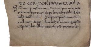 Manuskript im Rahmen des Projekts The Present Dead ©Bayerische Staatsbibliothek, München