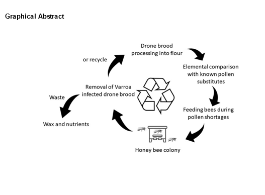 graphical abstract of practical recycling for bee keeping ©Pavlovic, graphical abstract JOURNAL OF ECONOMIC ENTOMOLOGY 2024