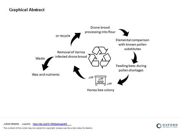graphical abstract of practical recycling for bee keeping ©Pavlovic, graphical abstract JOURNAL OF ECONOMIC ENTOMOLOGY 2024