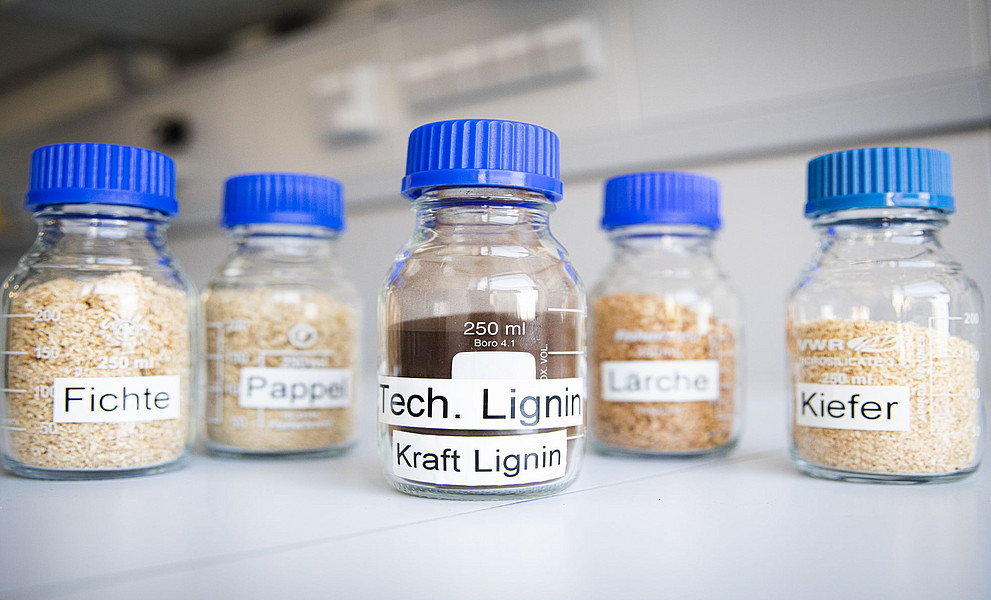 Probenflaschen mit unterschiedlichen Stoffen, im Vordergrund "technisches Lignin"