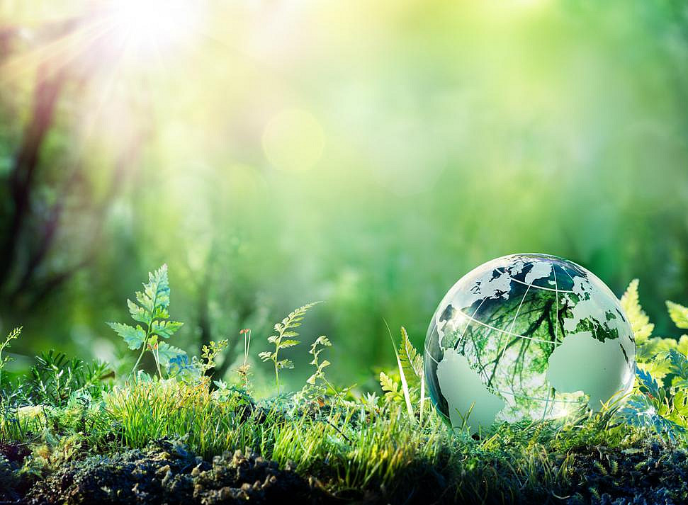 Sujet ©Romolo Tavani - stock.adobe.com