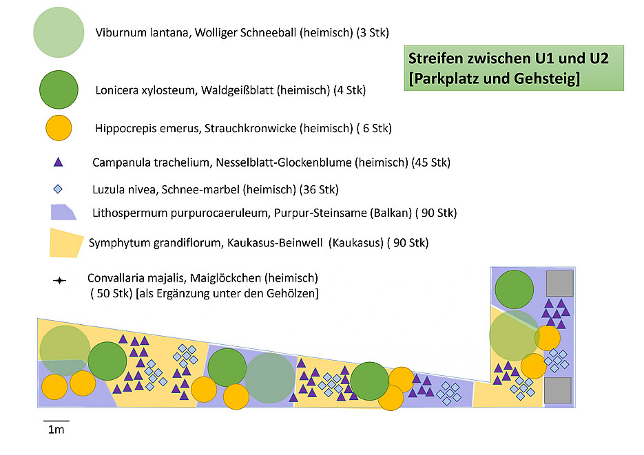 Pflanzplan 