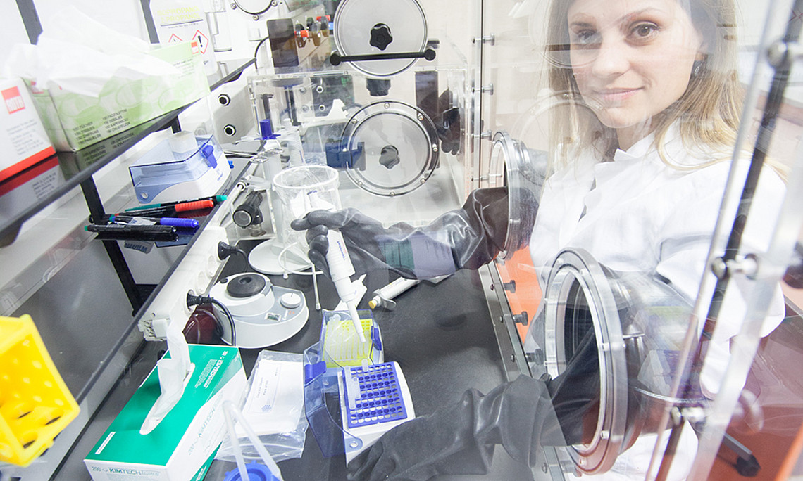 Vier Universitäten arbeiten in einem neuen Spezialforschungsbereich des FWF zusammen. Ko-Koordinatorin ist Martina Schweiger von der Uni Graz. Foto: Uni Graz/Grumet