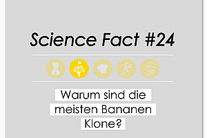 Science Fact #24