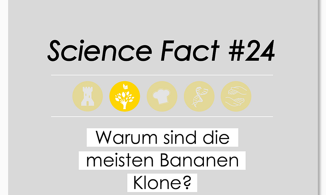 Science Fact #24