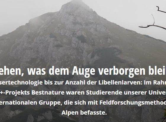 Nebelverhangene Berge im Nationalpark Gesäuse in der Steiermark. 