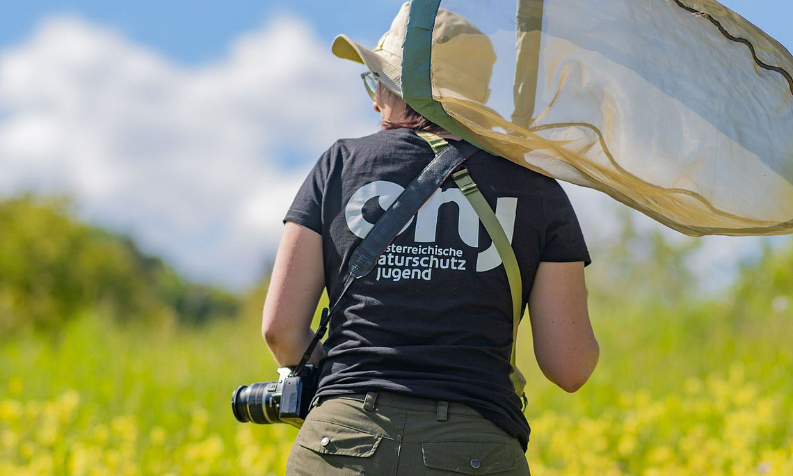 Students at the University of Graz with camera and butterfly net in nature