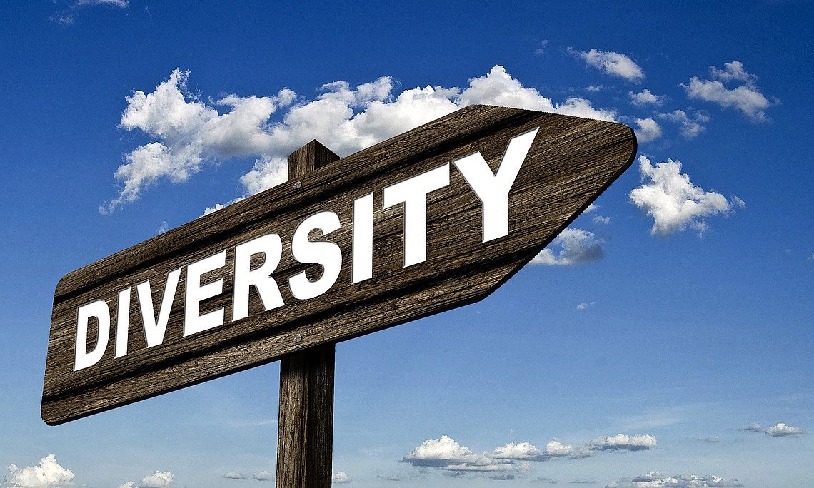 Foto: Pixabay.com/Geralt Wegweiser zu Diversität