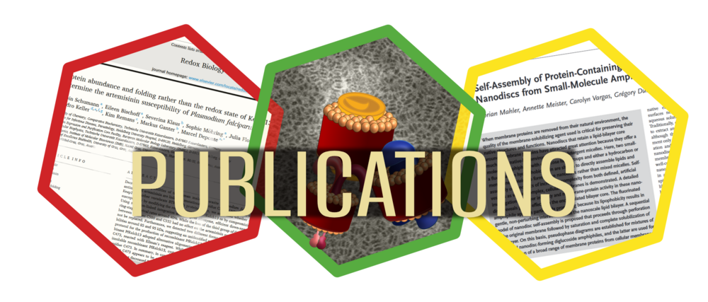 Biophysics-Keller-lab-publications 