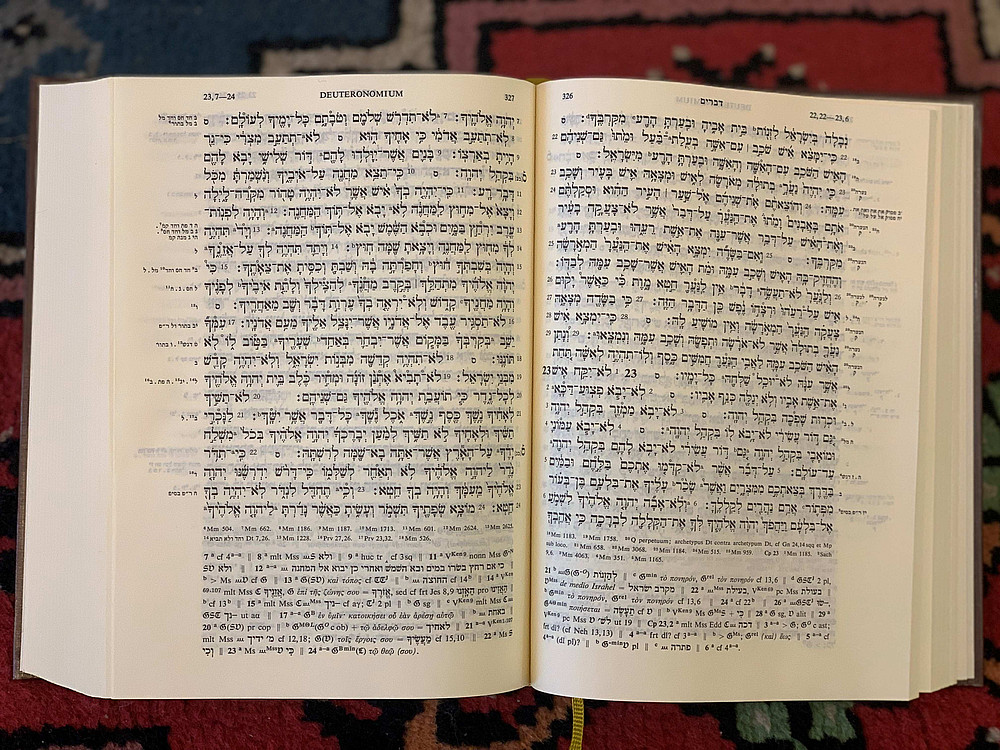 Seite des Deuteronomiums auf hebräisch, Hintergrund ist rot und blau ©Julian Jobstraibitzer