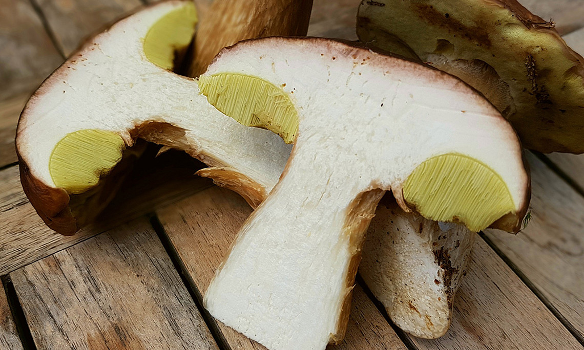 Steinpilze Foto: pixabay
