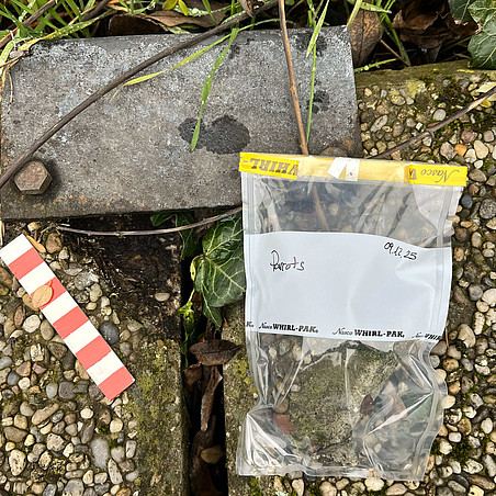 Measurement method of the Biopatina project, sample collected in plastic bags ©Asma Fathinejadposhkoohi