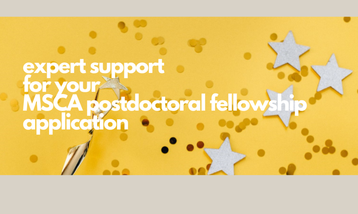 Expert support for fellowship applicants 