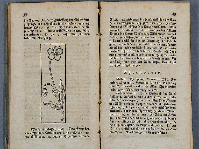 Der einsichtsvolle und wohlthätige Arzt nach der Natur
