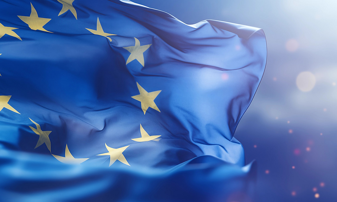Die europäiche Flagge