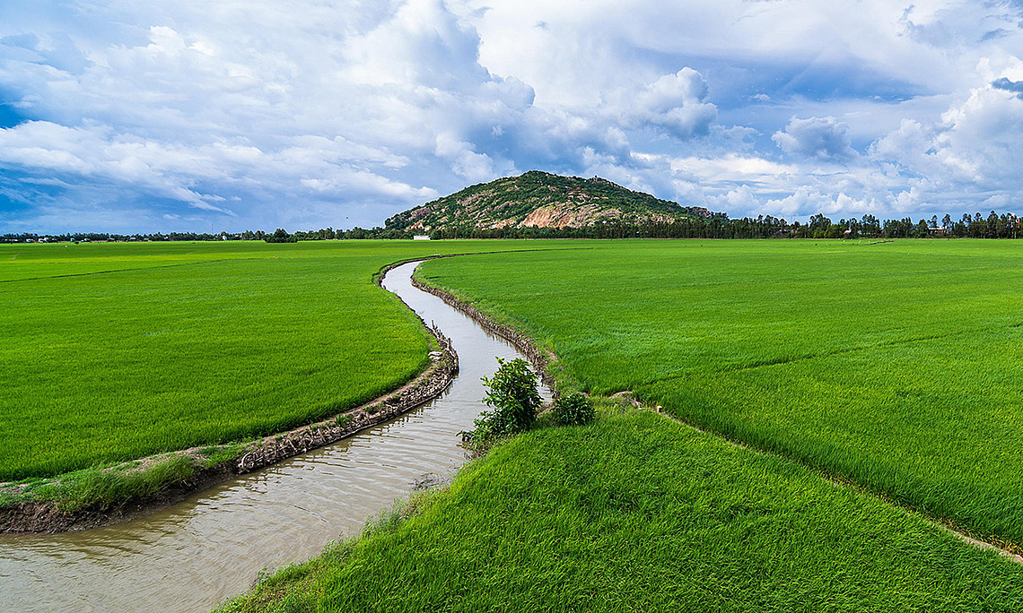 Ein Verhaltensexperiment zeigte: Wird die knappe Ressource Wasser in einer Gruppe fair verteilt, kooperieren die AkteurInnen stärker und können besser mit Trockenheit umgehen. Foto: pixabay