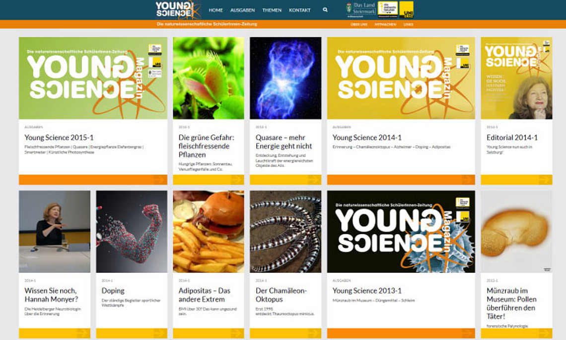 Beim Schreiben für Young Science lernen die SchülerInnen viel für ihre vorwissenschaftlichen Arbeiten. Foto: Young Science