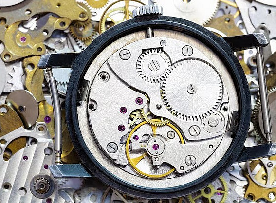 relation between physical time and biological time 