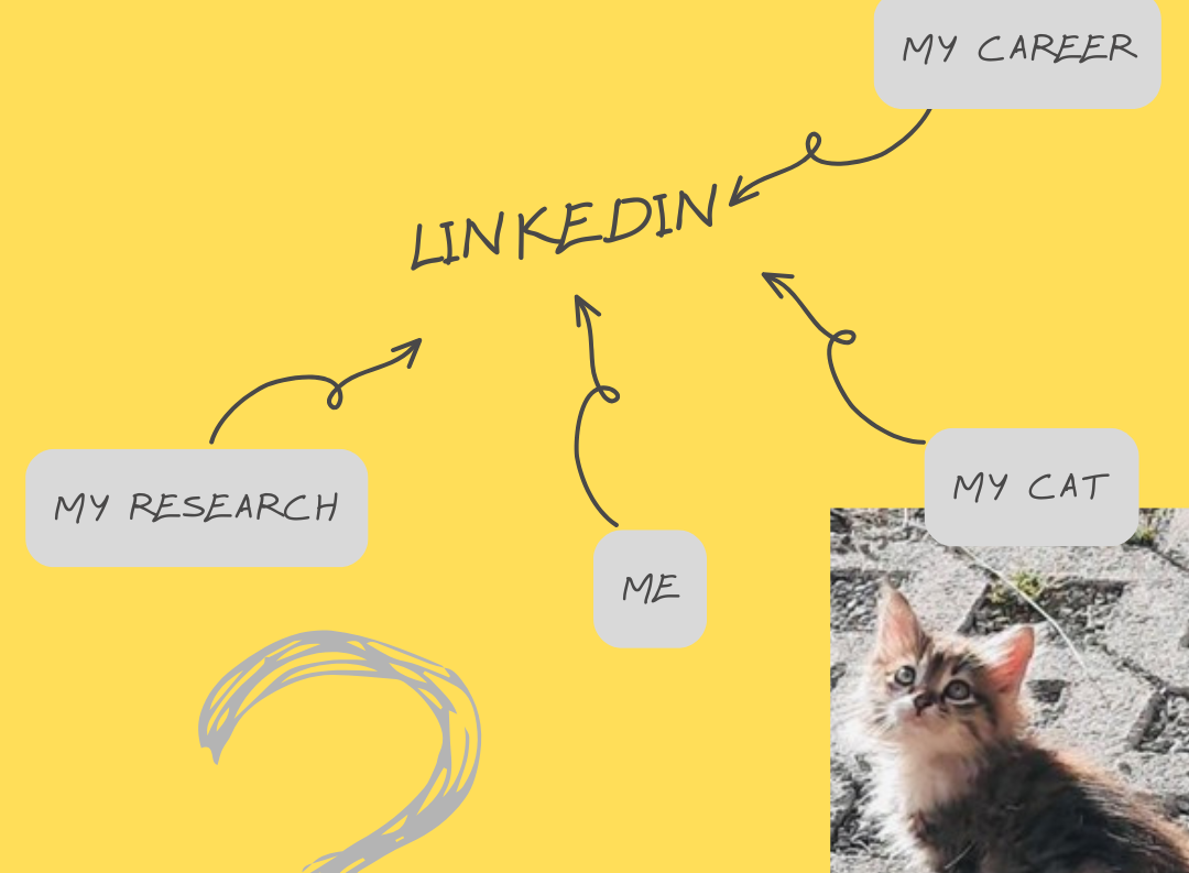 Canva Grafik mit Katze, (c) Johanna Stadlbauer 