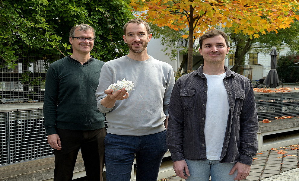 Drei Männer mittleren Alters stehen draußen vor Herbstbäumen; der mittlere hält ein weißes Modell eines Enzyms in der Hand.
