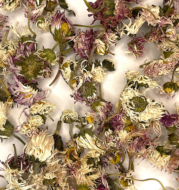 Gaensebluemchenblueten2 ©UniGraz/Miriam Zehentner