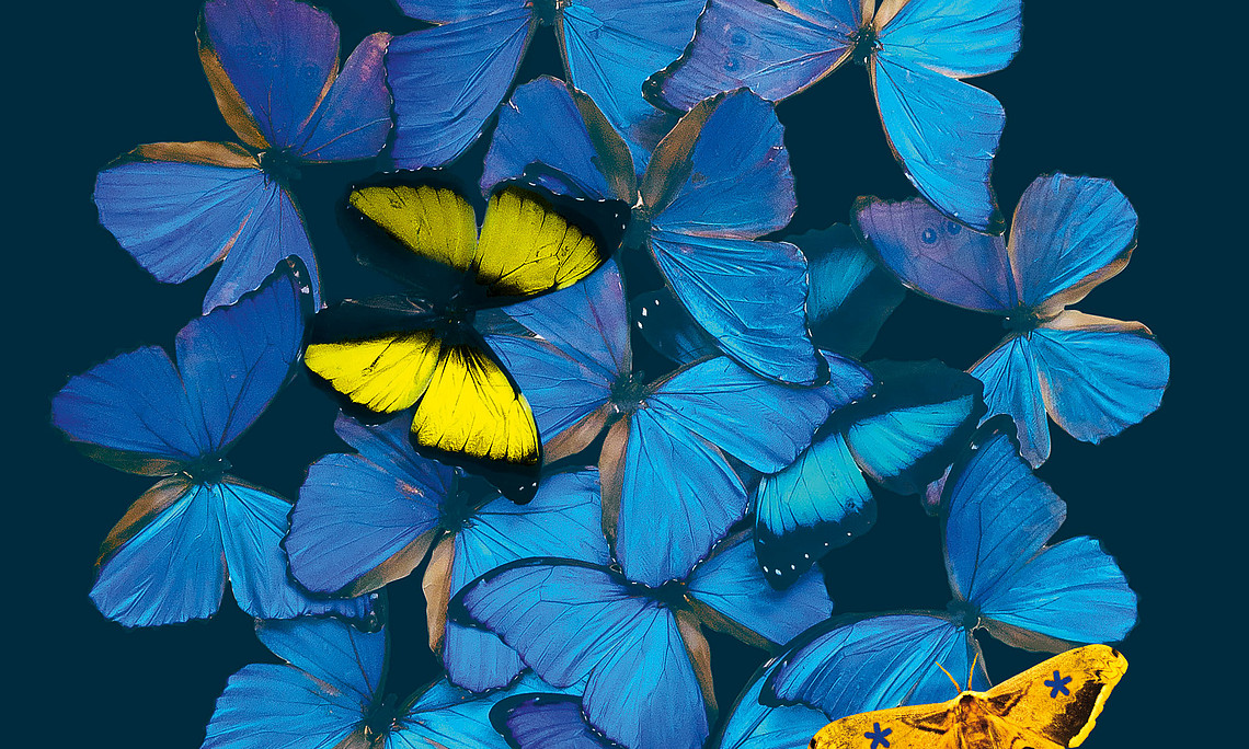 A painting featuring blue butterflies
