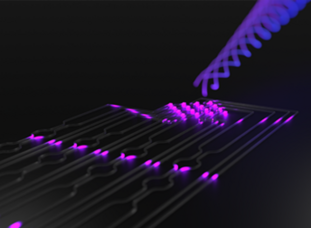 Dissecting Complex Light Fields - Institute of Physics